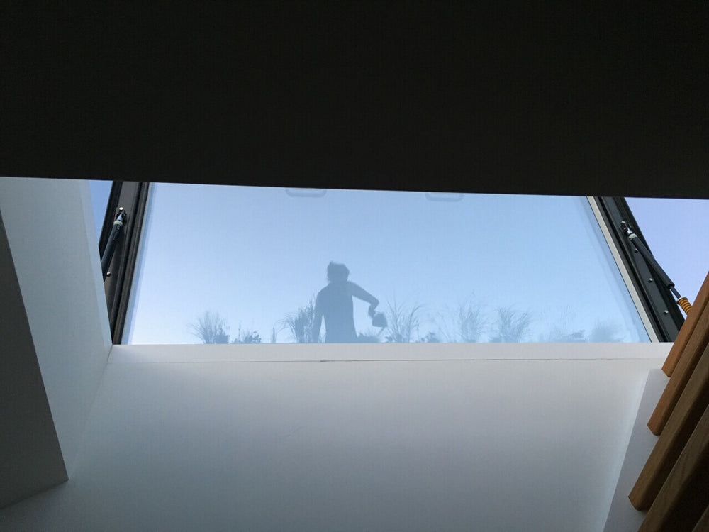 inside view of an open rooflight with a ladder to the right, shadow of woman with a watering can